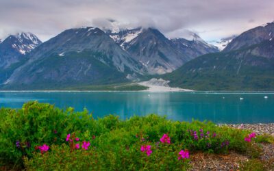 Logos: Scripture & Splendor: Alaska with Dr. Creasy ~ Coming Summer 2026